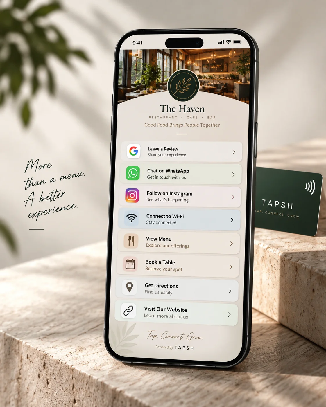 TAPSH Hub Mobile Preview